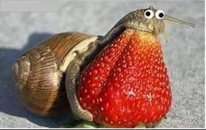 Изголодалась