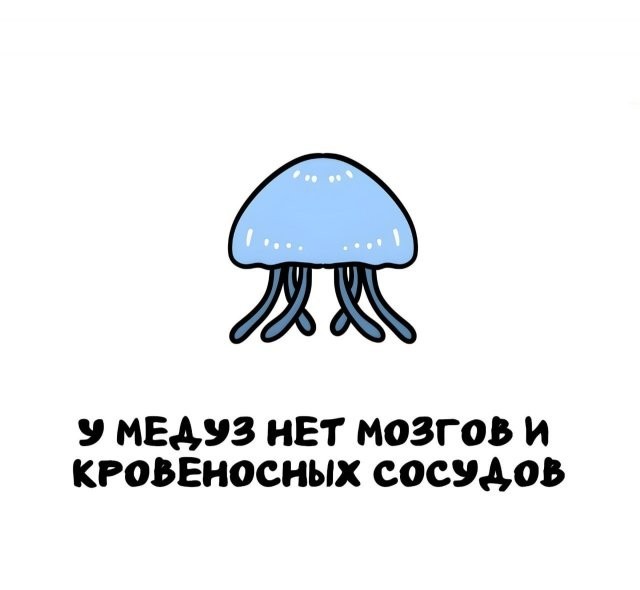 Интересные и короткие факты на все случаи жизни 05.01.26