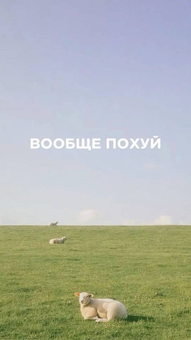 И снова Москва слезам не верит.