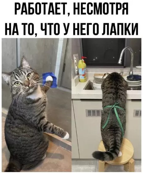 Картиночки, баянчики 03 апреля