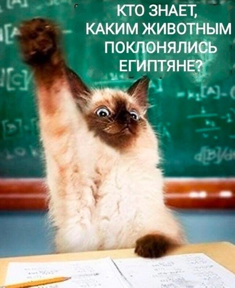 Картинки для деградации 202 (разной степени свежести)