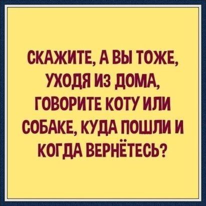 Картинки для деградации 252 (разной степени свежести)