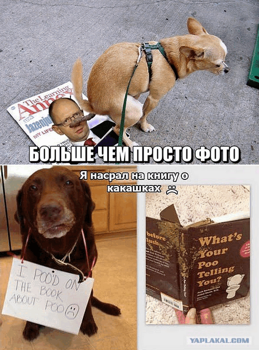 Бацька, Яценюк и Ярош!