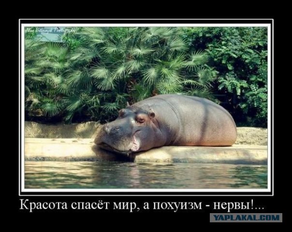 Люди - они такие отзывчивые!