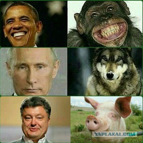 Ай да Путин