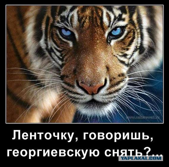 Прикольные пикчи