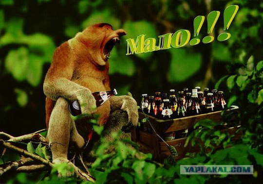 Плюсомет со шпалометом