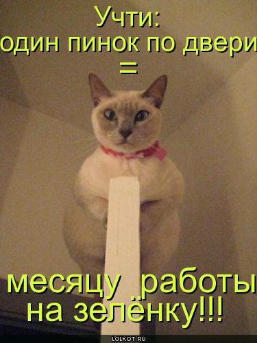 Всем зеленки!