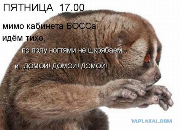 Пятница и 4 дня выходных!