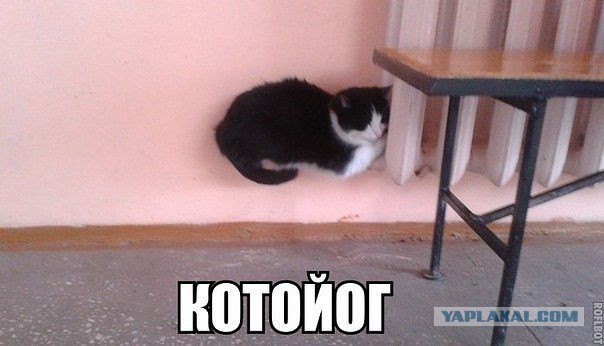 Весёлое из сети