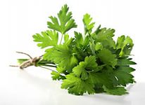 Морозы в Мурманске