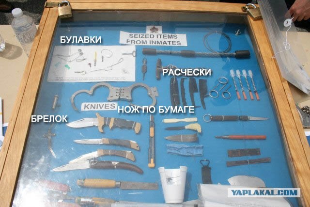 Канада. День открытых дверей в полиции.