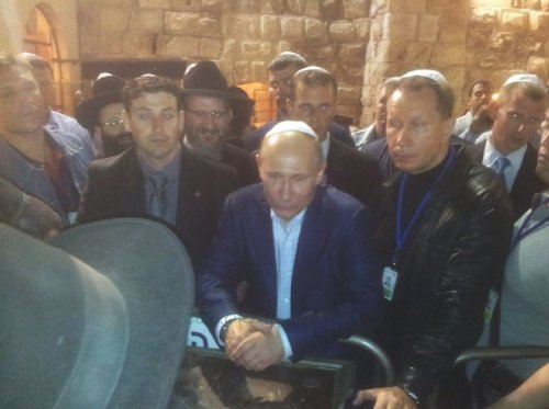 Свой среди своих