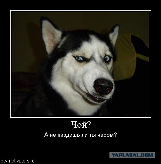 Антиверус
