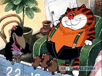 Как программист сарай строил!