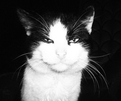 Так посмотрели, что забыл за чем пришел...