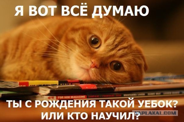 Парадокс финансового положения среднего класса США