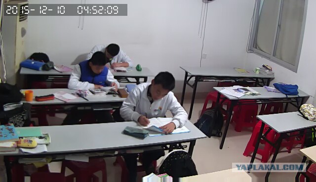 За что я люблю китайцев