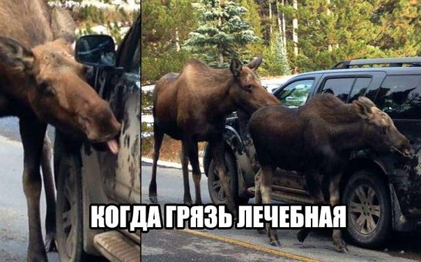 Разные картинки