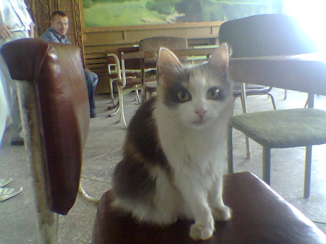 Опасный район