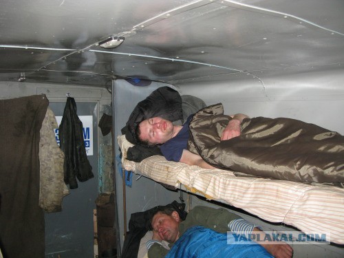 Веппский край, Южная тайга