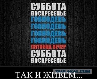 Демотиваторы на пятницу!