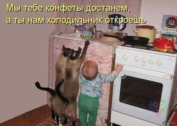Когда дети гостей хотят потискать твоего кота....