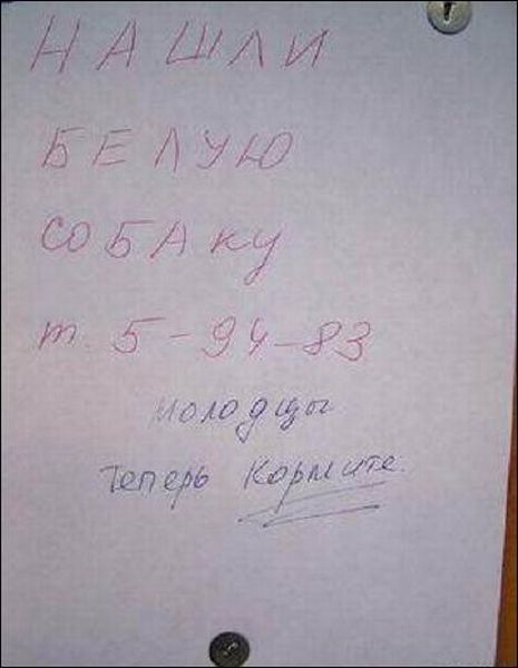 Смешные картинки