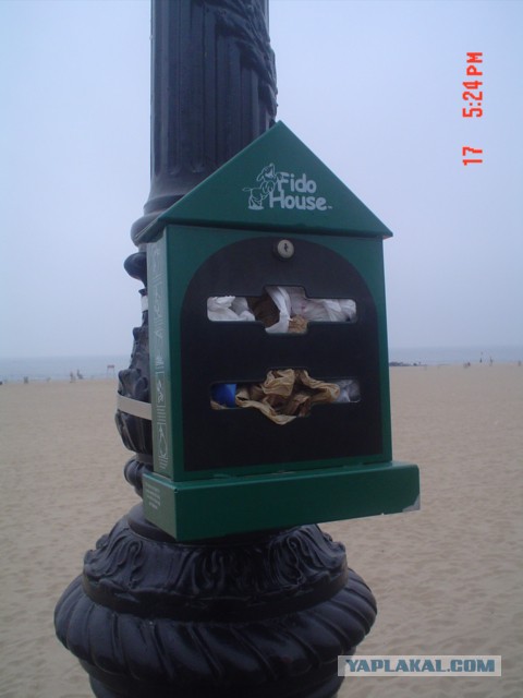 Как я побывал в США. Часть пятая. Заключительная