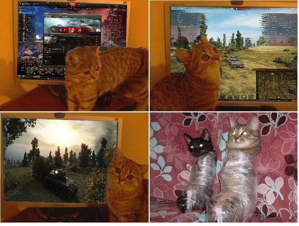 Wargaming 35