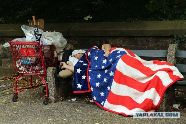 Немного интересных фактов о США