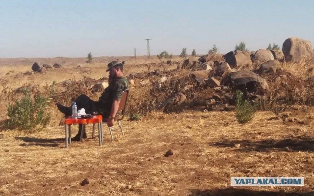 CNN: Россия нанесла первый авиаудар в Сирии