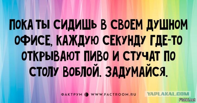 В преддверии упоротой пятницы