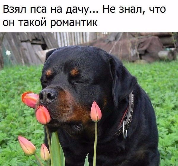Подборка фот из этих Ваших интернетов