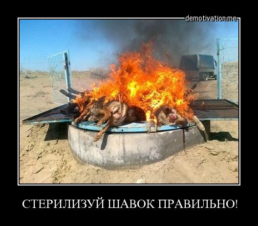 Ещё один живодёр-и откуда они берутся?!