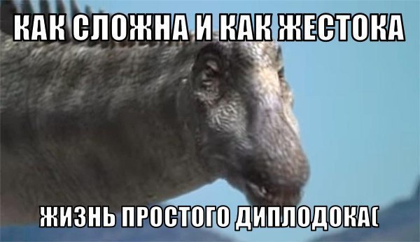 Абсурд зашкаливает