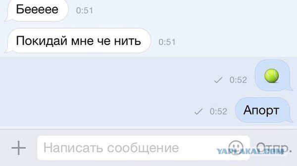 Смешные комментарии из социальных сетей 16.12.2016