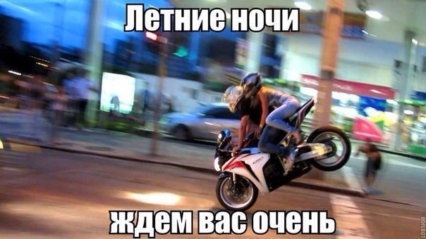 Подборка безудержного веселья