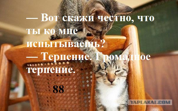 Подборка интересных и веселых картинок