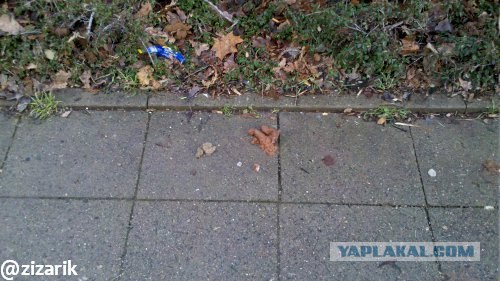 Вещи, которым я не перестаю удивляться в Германии
