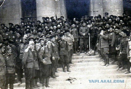 За что так не любят казаков?