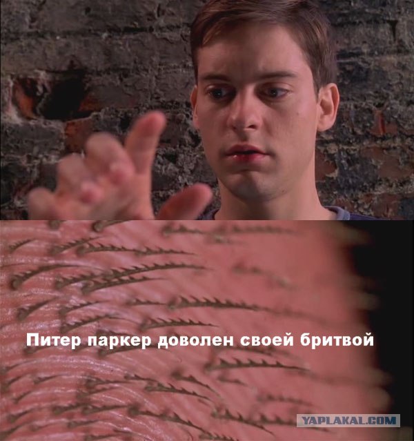 В аквапарке