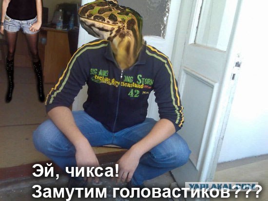 Отжабьте меня пожалуйста