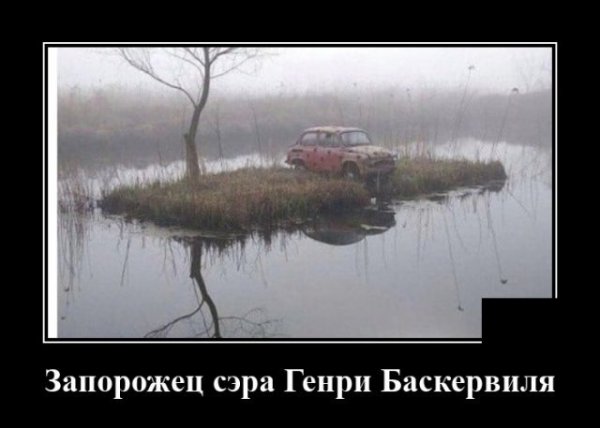 Прикольные и просто красивые картинки 19.11.2020
