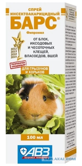 Я устал от Blattella germanica