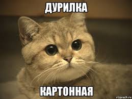 Политика политикой, но должны ли страдать люди?