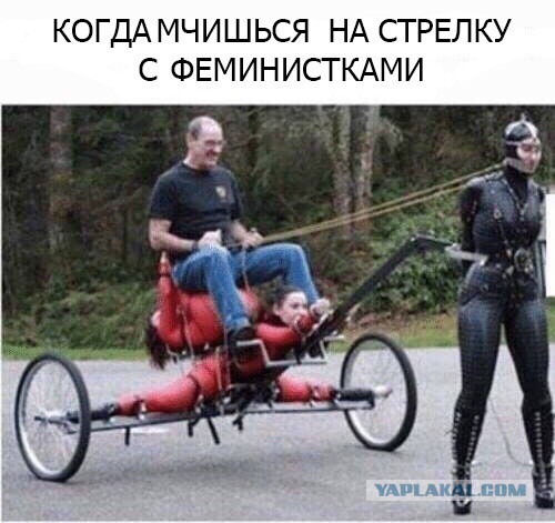 Юмор и прикольные картинки