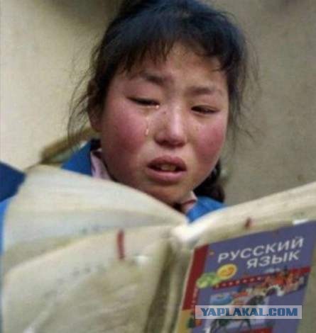 Как управлять женой и загнать ее под тапок