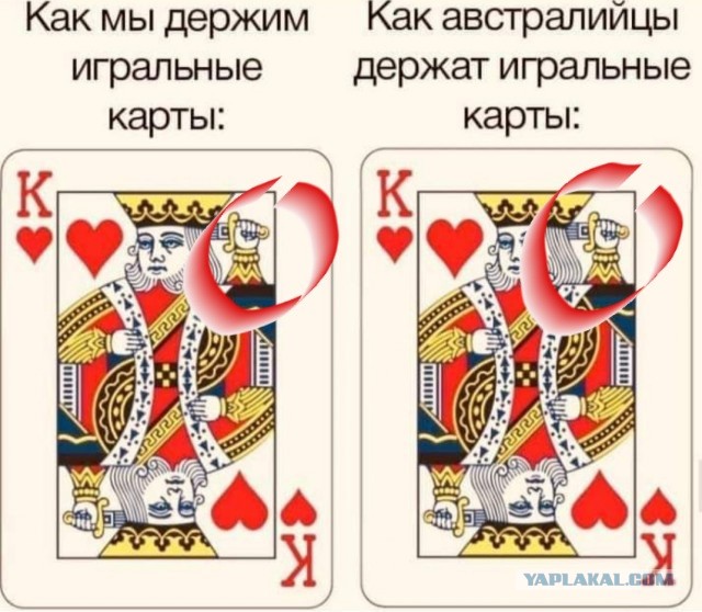 Так себе картинки 15.05.22