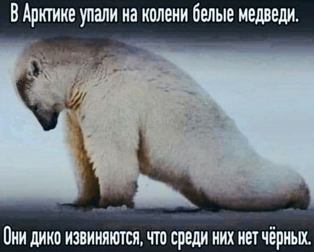 Немного картинок для настроения - 114